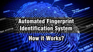 What is Automated Fingerprint Identification System and How it Works?