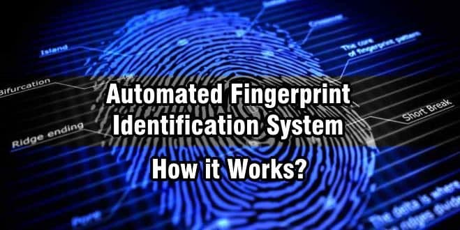 What is Automated Fingerprint Identification System and How it Works?
