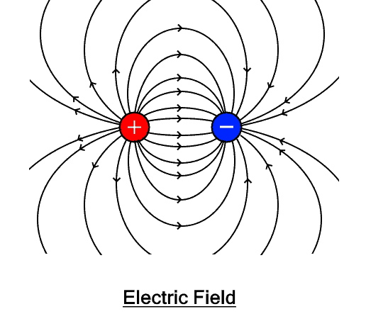 Rafflesia Arnoldi Velsigne rent Difference between Electric Field and Magnetic Field