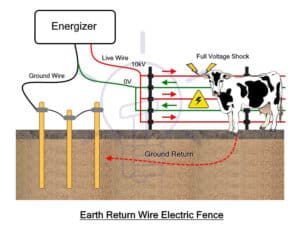 Electric Fence - Working, Types, Protection and Installation