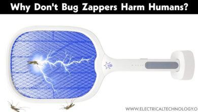 Why Don't Bug Zappers Harm Humans?