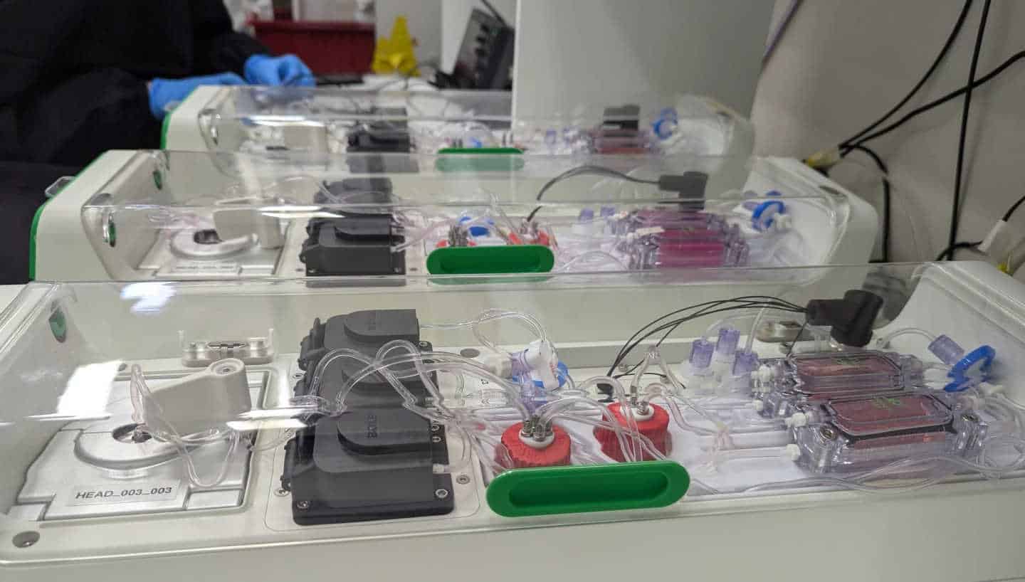 Advanced life-support system inside each CL-1 unit