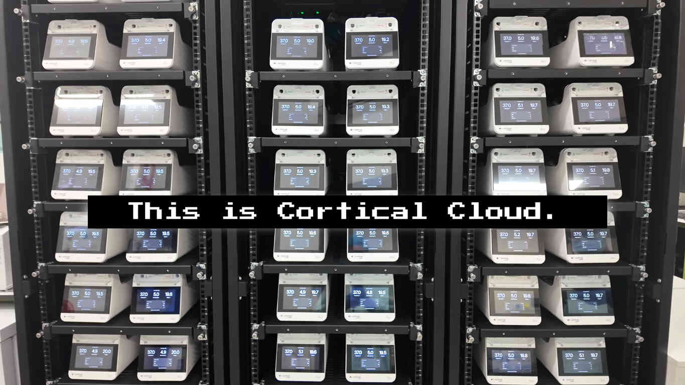 CL-1 Cortical Cloud