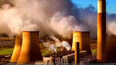 Coal Power Remains More Profitable than Neutral Gas in the U.S.