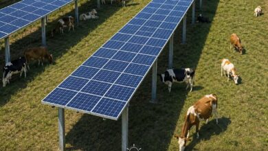 Agrivoltaic Solar Powered Farms