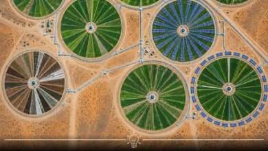 Desert Farmland