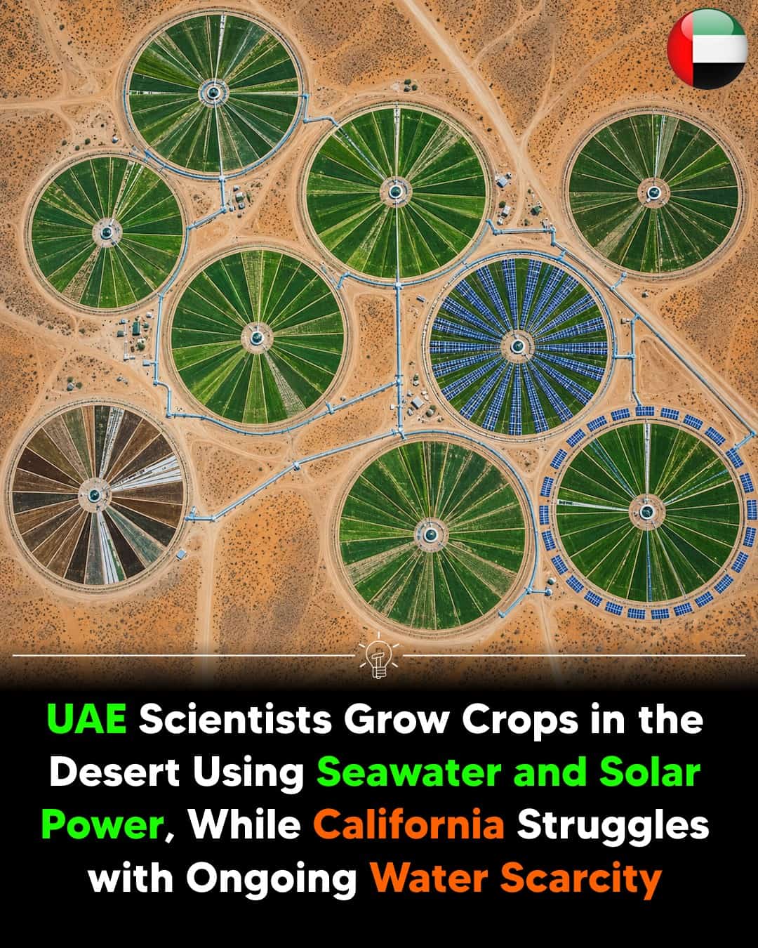 Desert Farmland