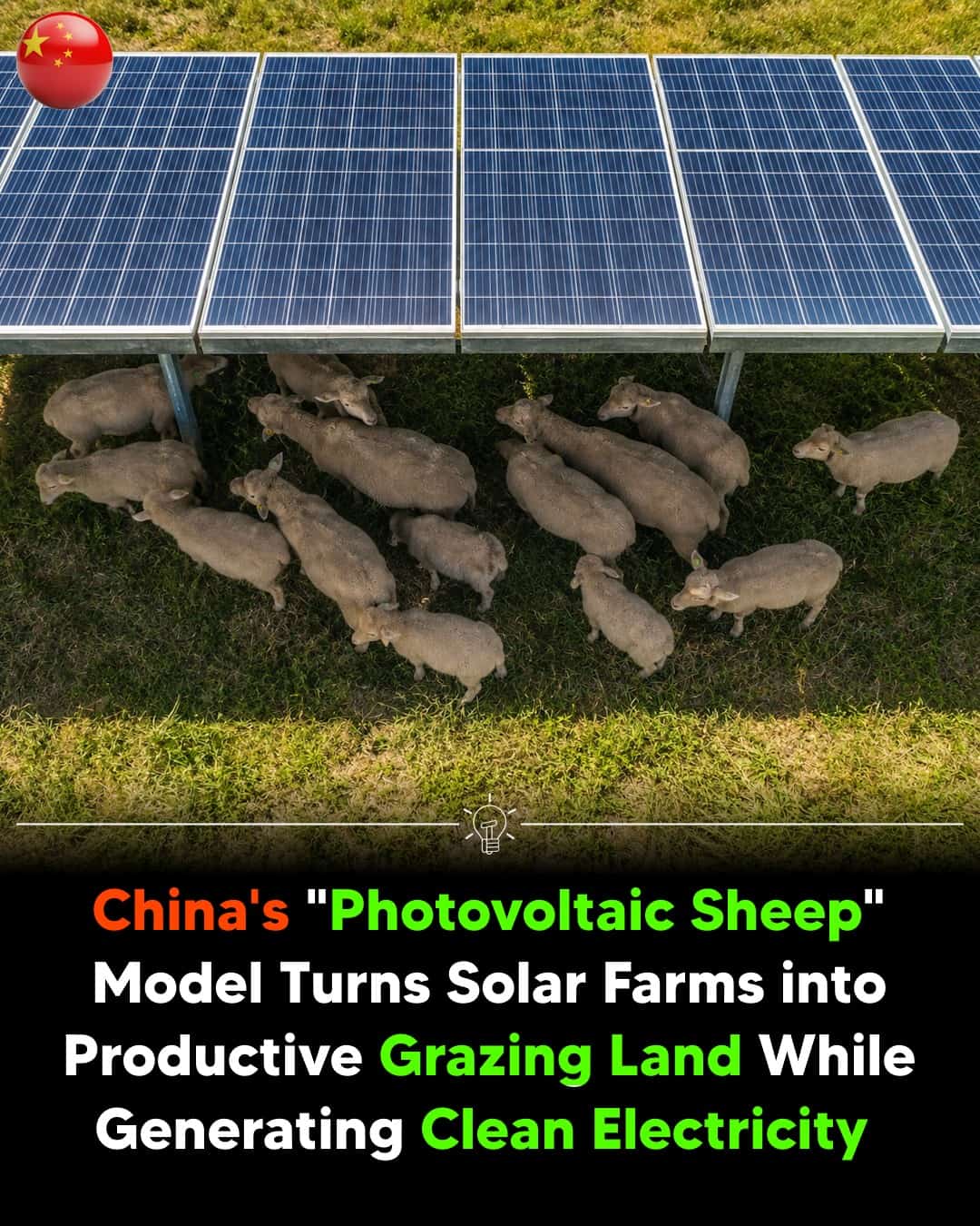 Photovoltaic Sheep Farm
